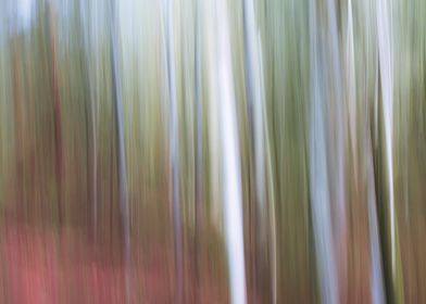 Panning Trees