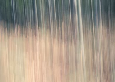 Panning Trees