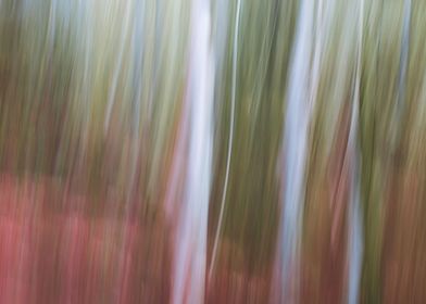 Panning Trees