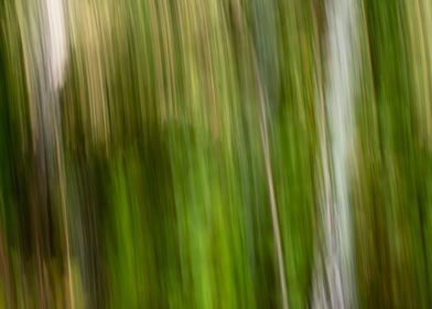 Panning Trees