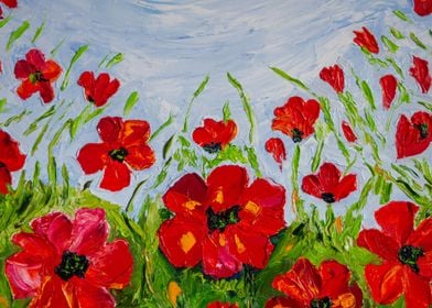 Poppies dance