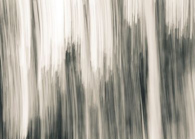 Panning Trees