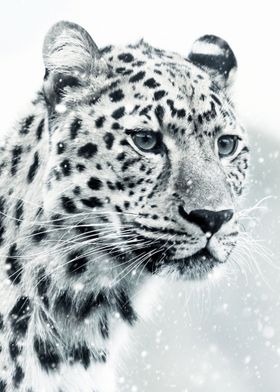 Leopard Posters Online - Shop Unique Metal Prints, Pictures, Paintings