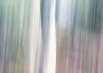Panning Trees
