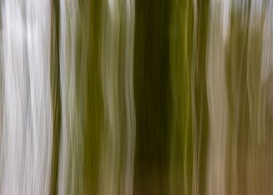 Panning Trees