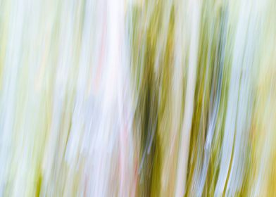 Panning Trees