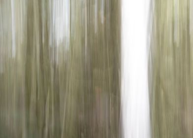 Panning Trees