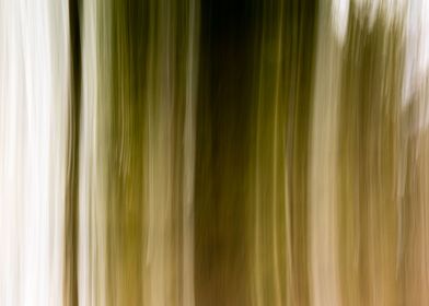 Panning Trees