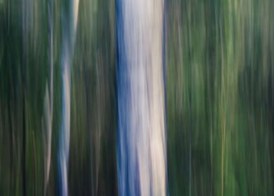 Panning Trees