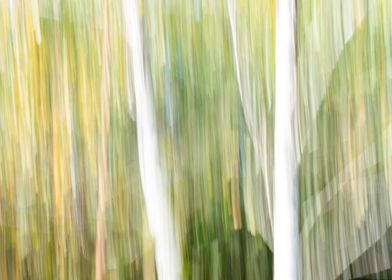 Panning Trees