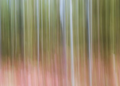 Panning Trees