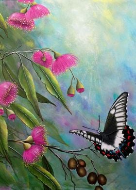 Gum blossoms and butterfly