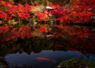 Lake with autumn forest