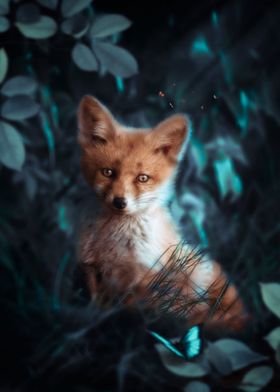 Baby fox  and butterfly