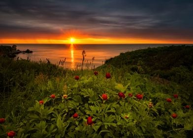 Sunset on lake sea boat