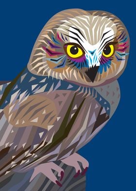 Alaska Owl Colorful Bird