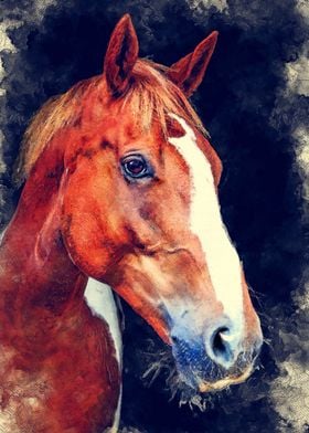 Horse animal art 