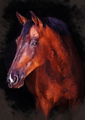 Horse animal art