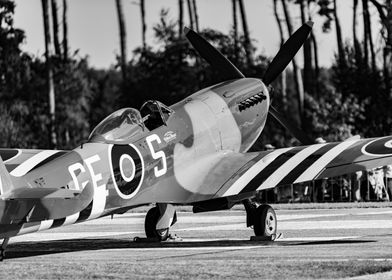 Warbird Spitfire 