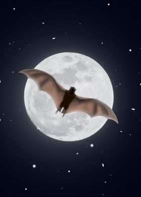 Bat In Moon
