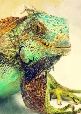 Iguana animals art