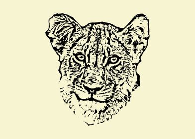 Young lion portrait
