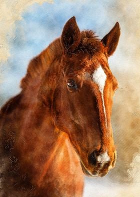 Horse animal art