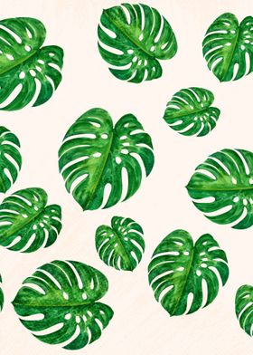 Monstera Lover