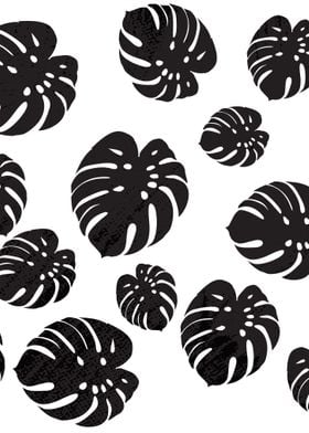 Monstera Black White