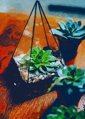 Succulent In Terrarium