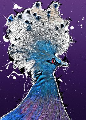 Victoria crowned pigeon