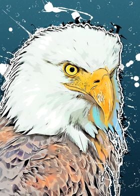 Eagle bird art