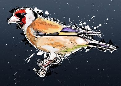 goldfinch bird art 