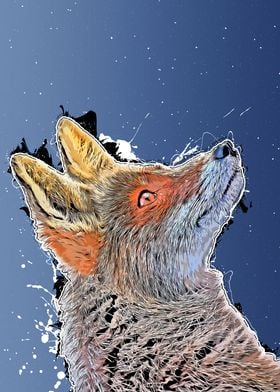 Fox animal art