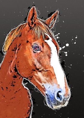 Horse animal art