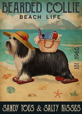 Bearded Collie Funny Beach