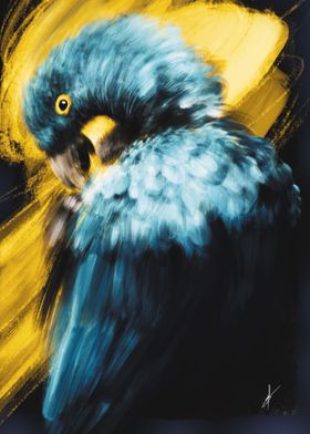 Blue Macaw