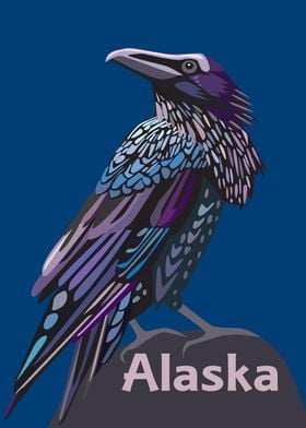 Alaska Raven Colorful Bird