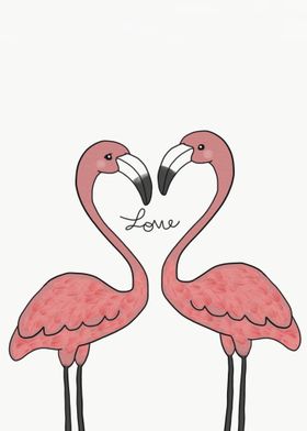 Couple pink flamingo birds