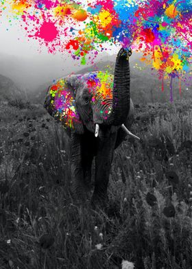 Elephant playing paint