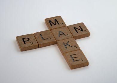 Make Plan