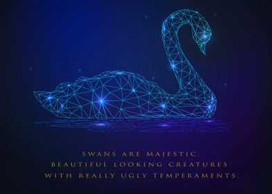 SWANS                     