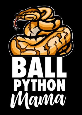 Ball Python Mama Ball Pyth