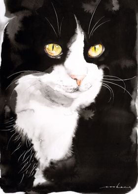 Portrait of Meow