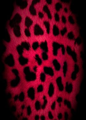 Leopard Animal Print Pink