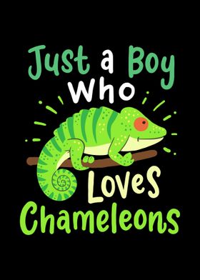 Chameleon Lizard Reptile C