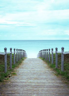 Rugen island wooden alley