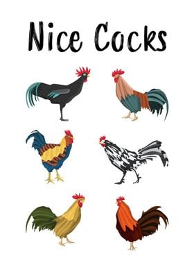 Nice Cocks Chicken Birds