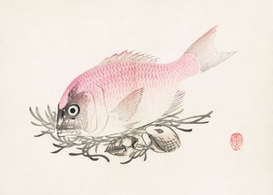 Vintage Japanese Fish
