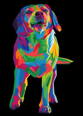 colorful beagle dog